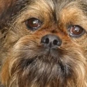 Meet your Posher, Debra